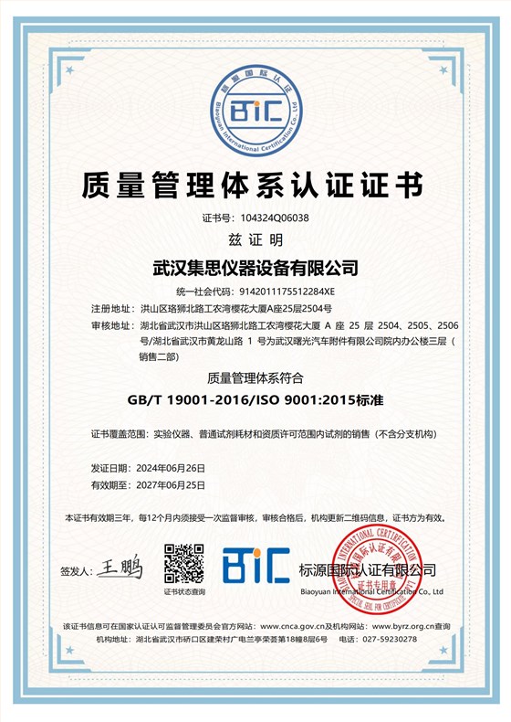 ISO9001质量管理体系_页面_1
