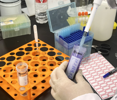 wechat_2025-07-18_115001_074