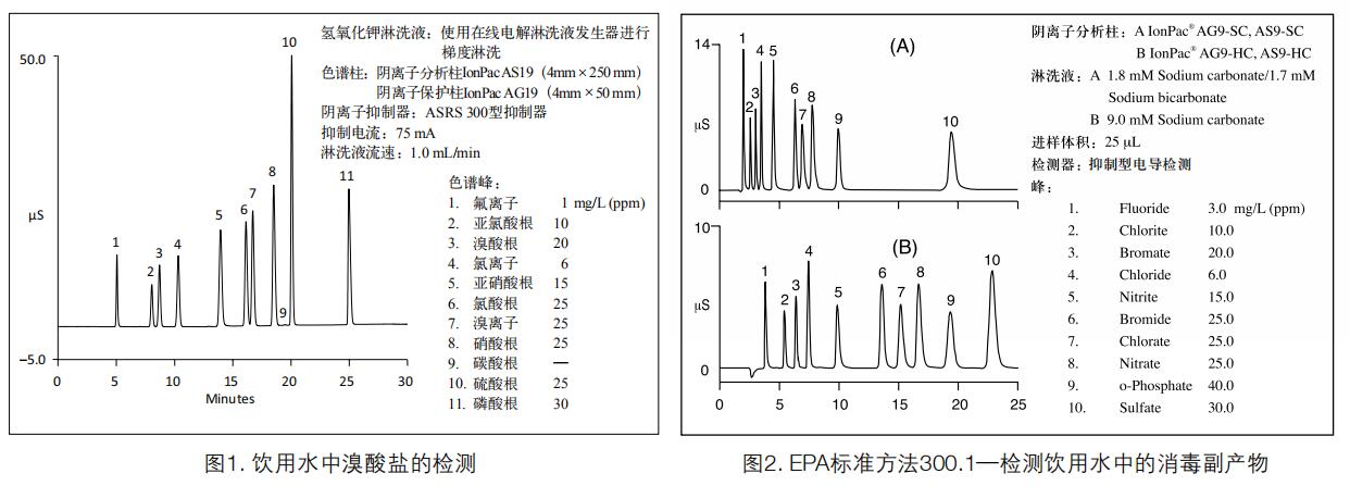 戴安ICS-600实用案例 戴安ICS-600实用案例
