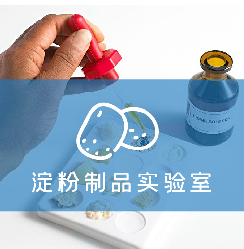 淀粉制品实验室解决方案