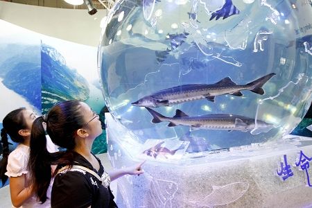 集思仪器&mdash;&mdash;我与中华鲟，共护长江美